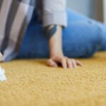 127-Carpet-Cleaning-For-Dummies