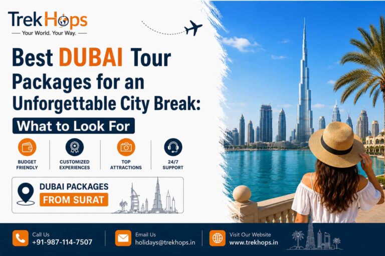 Dubai Tour Packages creative media studios and cultural industry