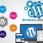 Custom Web Development Services
