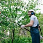 Tree Maintenance
