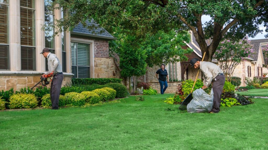 Lawn Maintenance Grapevine