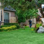 Lawn Maintenance Grapevine