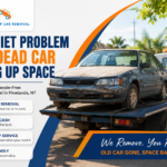 Junk Car Collection Pinelands