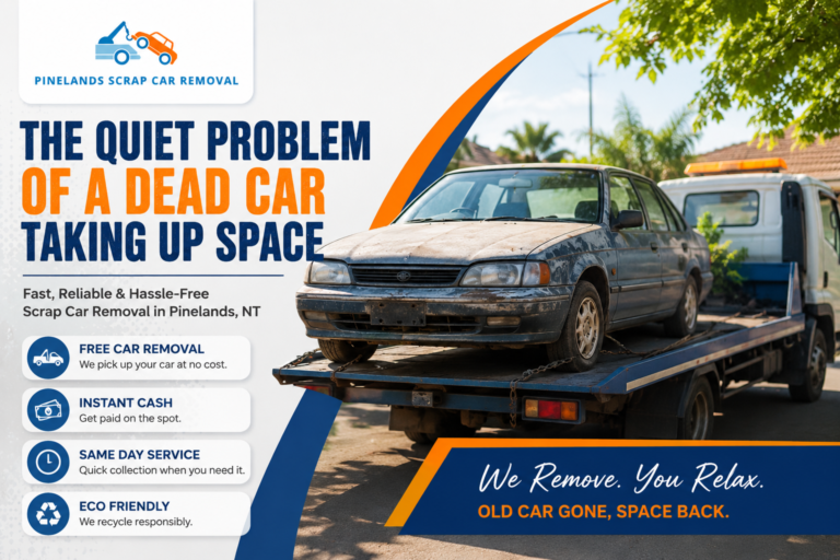 Junk Car Collection Pinelands