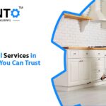 Affordable Pest Control Solutions In Vaughan