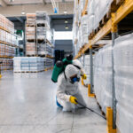 Why Islamabad Homes and Businesses Need Professional Pest Control Services for Long-Term Protection