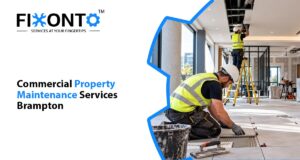 Planning Seasonal Property Maintenance For Brampton Homes