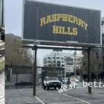 Raspberry Hills Hoodie Styling for College Life and Daily Routines